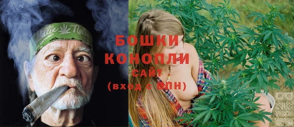 амф Майский